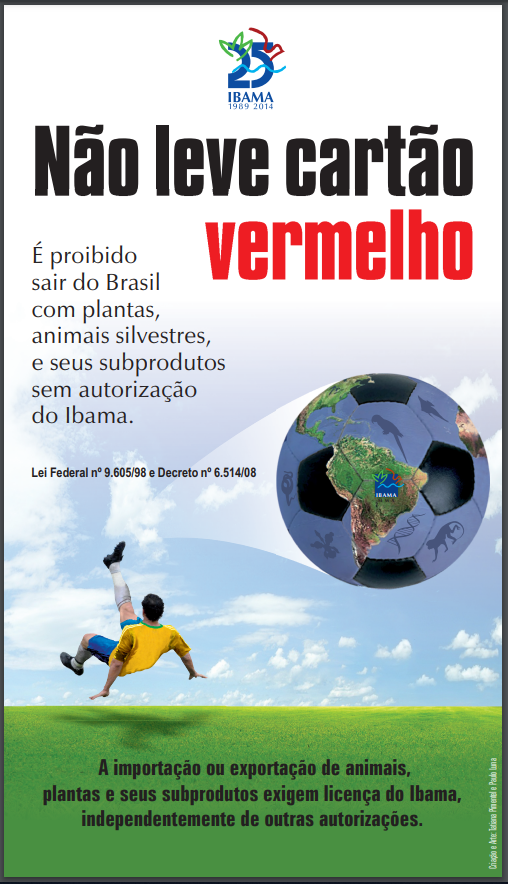 Capa_Fiscalização-Copa_do_Mundo.PNG