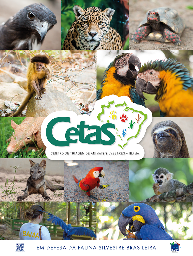 2020-03-Banner_Cetas_defesa_fauna.png