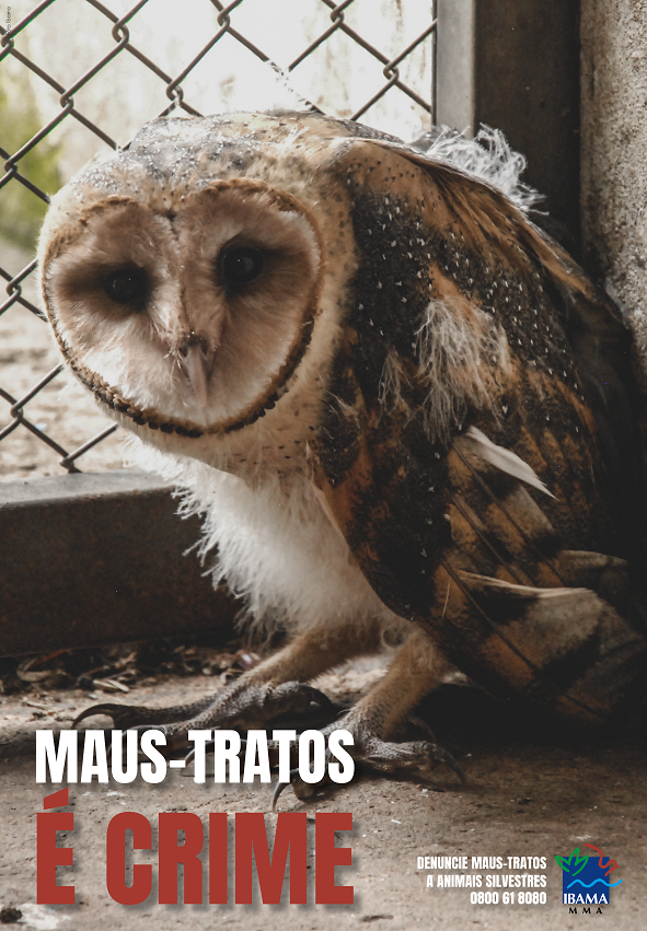 2020-06-cartaz_cetas_maus_tratos_2.png