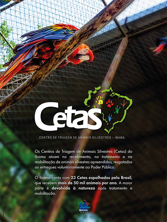 2020-11-03-banner-cetas.jpg