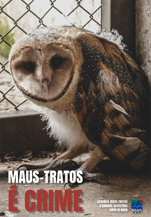2020-11-03-cartaz-maus-tratos2.jpg