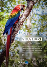 2020-11-03-cartaz-soltura.jpg