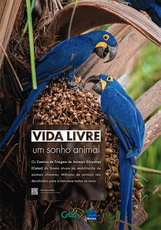 2020-11-03-cartaz-soltura3.jpg