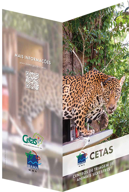 2020-11-03-folder-cetas.jpg