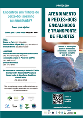 2025-10-30_Folder_Protocolo_Atendimento_a_Peixes_Bois_Encalhados_e_Transporte_de_Filhotes_capa_defeso.png