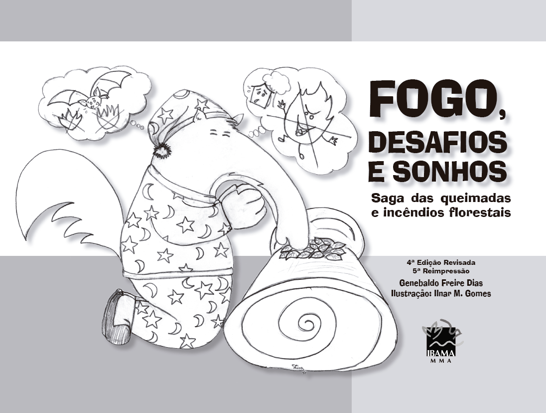 2026-03-16_Fogo_desafios_e_sonhos.png