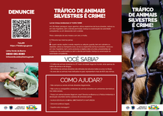 2026-05-21_folder_trafico_de_animais_silvestres_e_crime_Ibama.png
