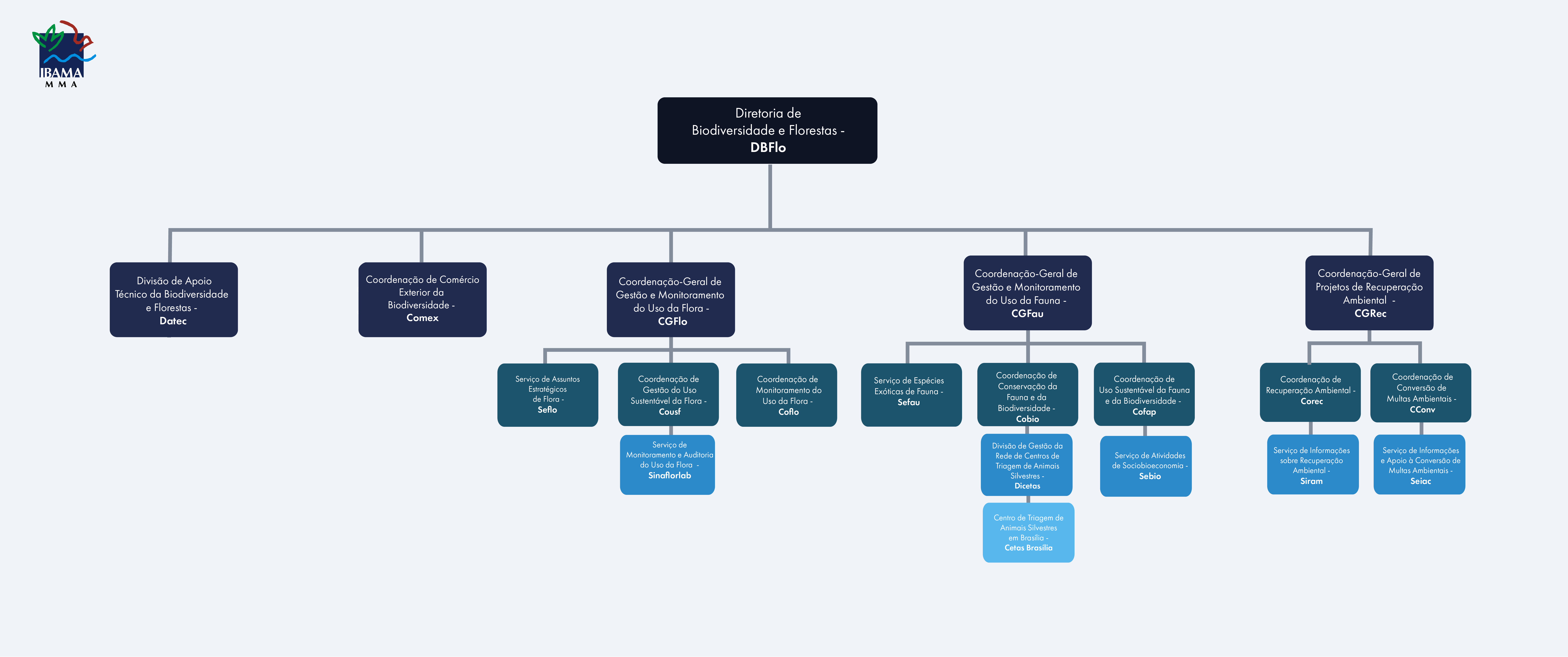 2025-06-07_Organograma_DBFlo