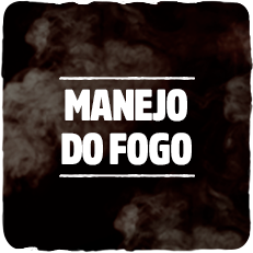 Manejo do fogo