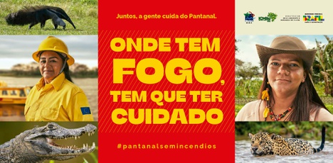 FundoDePalco_Secom_IncendiosBiomaPantanal_430x212_reduzida.jpg