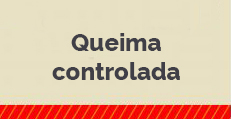 banner231x119-queima-controlada.jpg