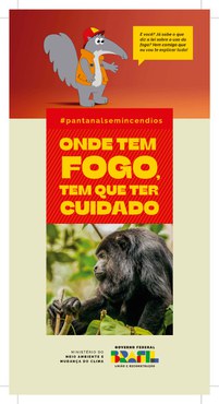 Filipeta_Secom_IncendioBiomaPantanal_105x210cm_Pagina_1.jpg