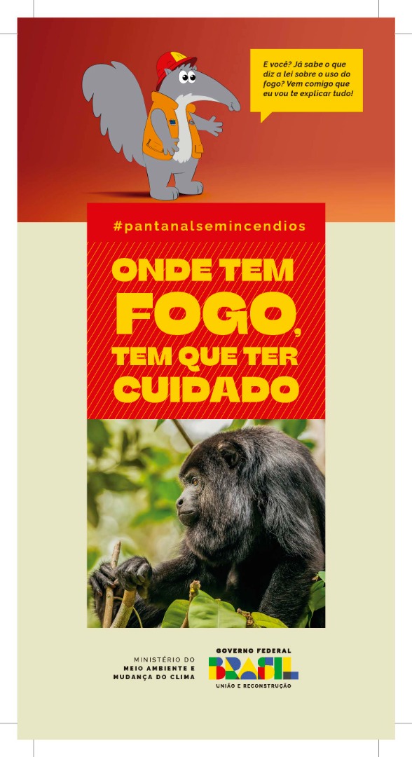 Filipeta_Secom_IncendioBiomaPantanal_105x210cm_Pagina_1.jpg