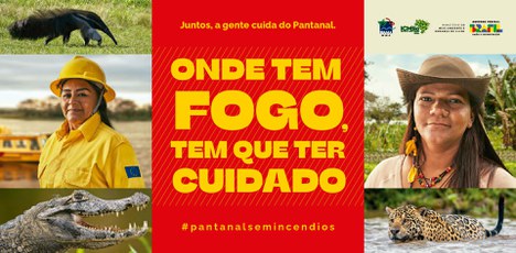 FundoDePalco_Secom_IncendiosBiomaPantanal_430x212_reduzida.jpg