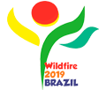 wildfire-2019-brazil.png