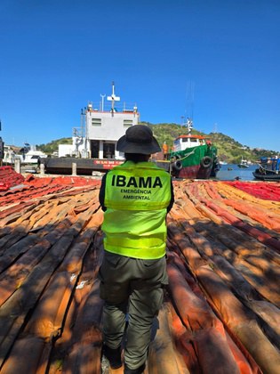 Ação preventiva do Ibama vistoria 17 empresas portuárias no Espírito Santo