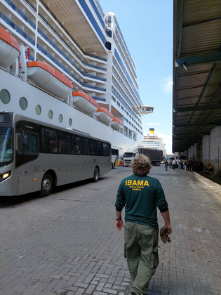 Ibama intensifica fiscalização ambiental no Porto de Santos durante saída de cruzeiro internacional