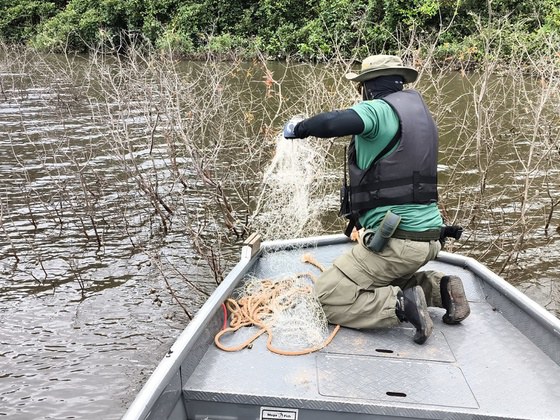 Ibama apreende tartarugas e petrechos de pesca irregular em Goiás