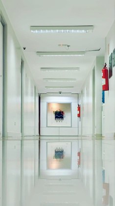 Ibama divulga Relatório de Gestão da Ouvidoria referente a 2025