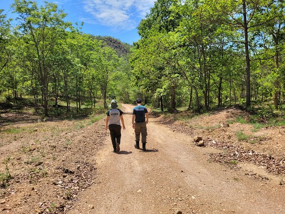Ibama intensifica diálogo com produtores e implementa ações de prevenção ao javali na Chapada dos Veadeiros (GO)