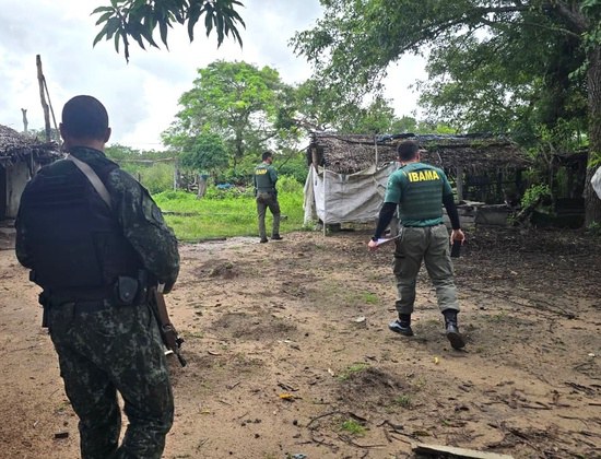 Operação do Ibama combate criação irregular de gado na Terra Indígena Parque do Araguaia