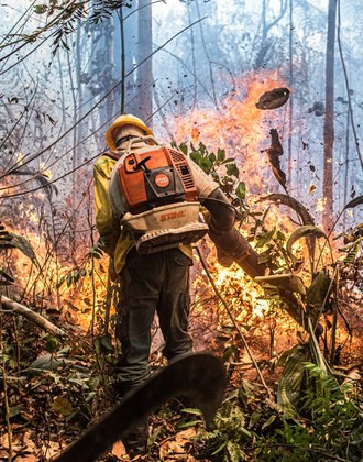 Brasil registra maior volume de recursos da história para controle do desmatamento e combate aos incêndios florestais