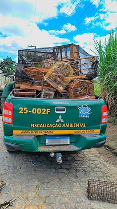 Ibama apreende cerca de 250 animais silvestres em Sergipe