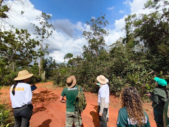 Plataforma Recooperar atinge marco de 5 mil áreas de recuperação ambiental acompanhadas pelo Ibama