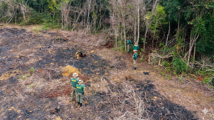 Ibama embarga 386 hectares desmatados ilegalmente na Mata Atlântica