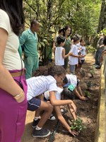 Alunos realizam plantio de mudas de azaleias