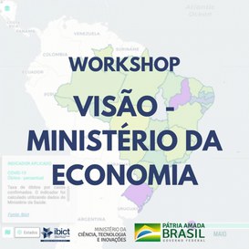 Equipe do Ibict apresenta a ferramenta Visão para o Ministério da Economia .jpeg