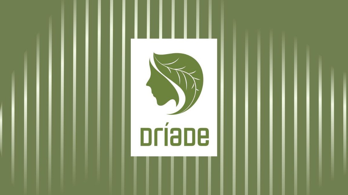 A DRÍADE foi criada pelo Instituto Brasileiro de Informação em Ciência e Tecnologia (Ibict) como parte das iniciativas da Rede Brasileira de Serviços de Preservação Digital (Rede Cariniana)