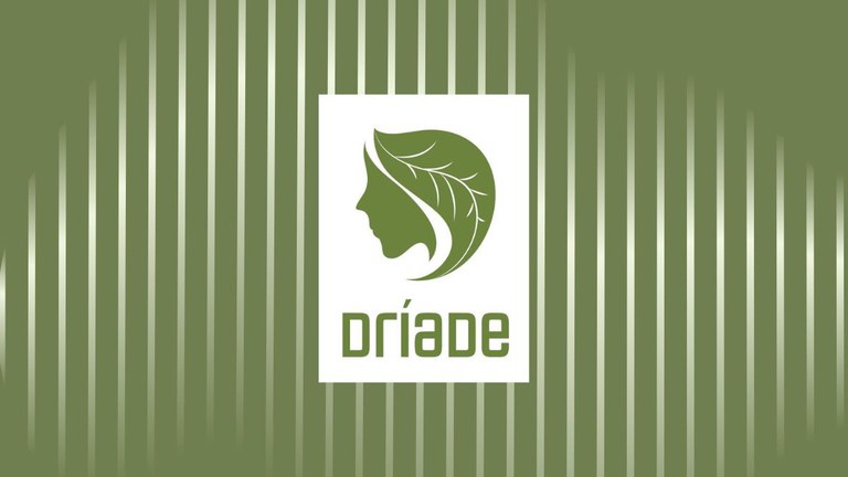 Rede DRÍADE encerra 2025 com avanços estratégicos e fortalecimento da preservação digital no Brasil