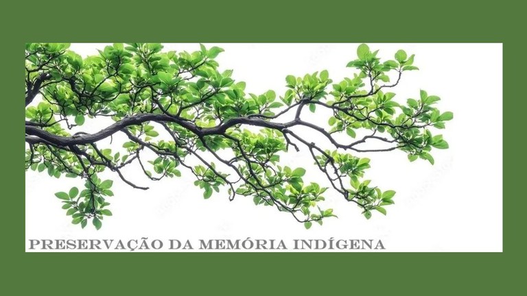 Webinário discute preservação digital e o Tesauro Yãkoana dos Bens Culturais do Amazonas