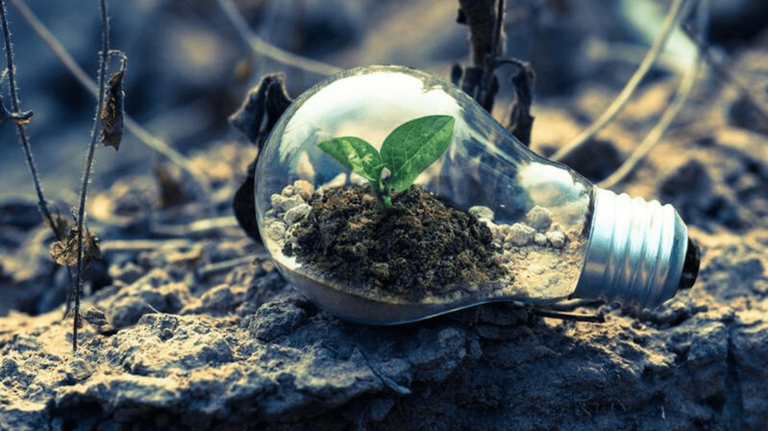IMG- Ibict apresenta chamada da Finep para economia circular em encontro com empresas da Rede ACV