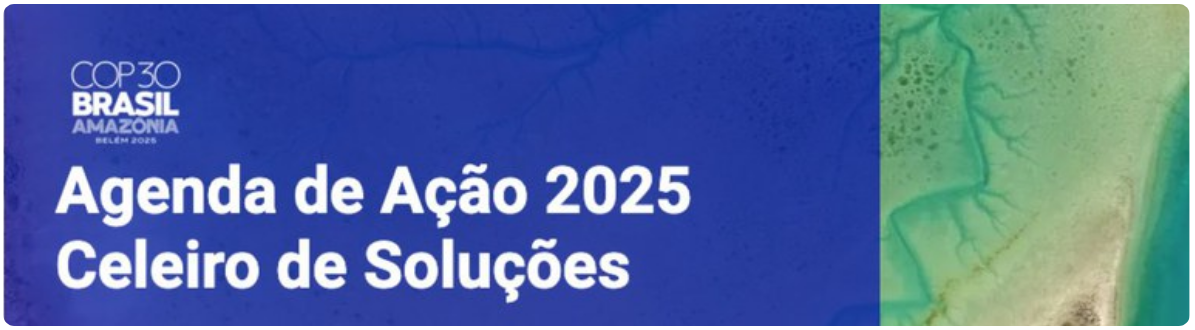Projetos do Ibict integram o Celeiro de Soluções da COP30-1