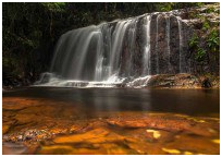 MicrosoftTeams-image (2).png