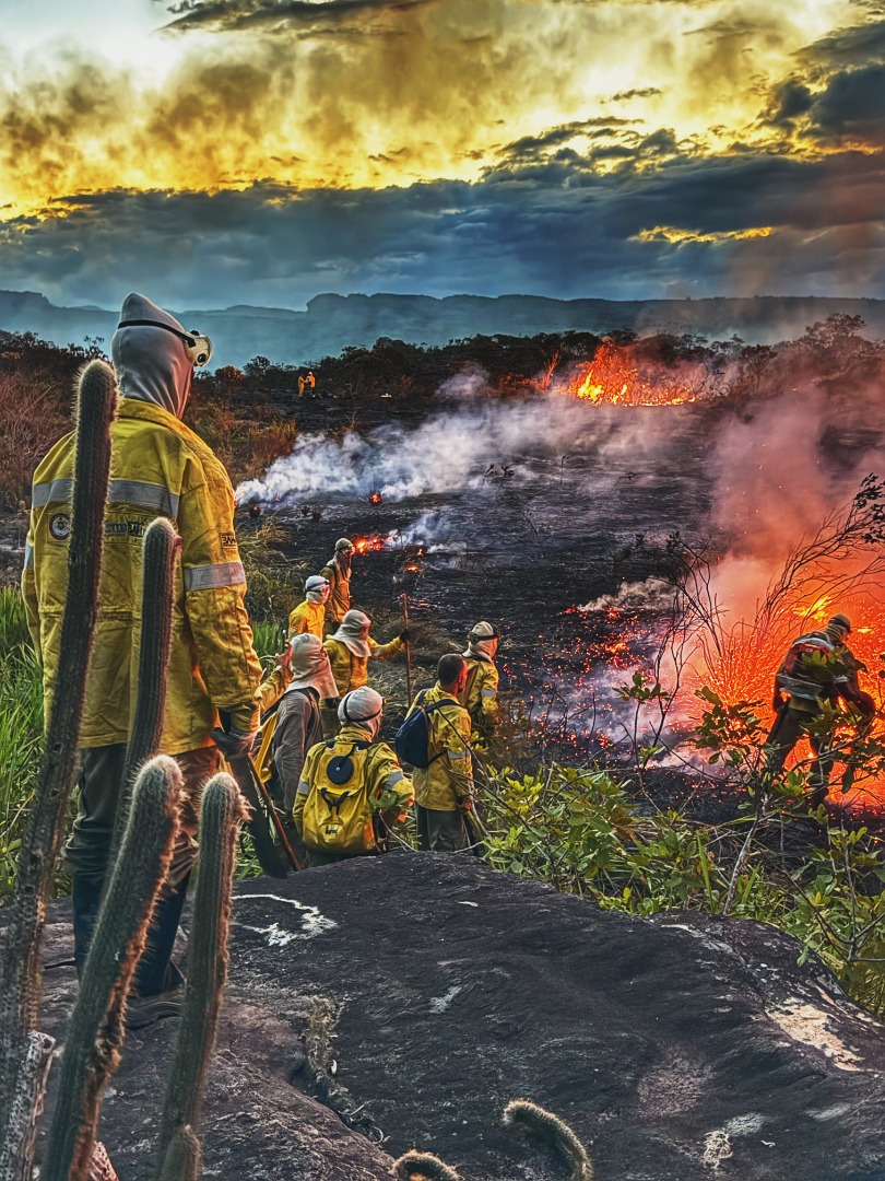 01- 11.1. IMG_3783.jpg