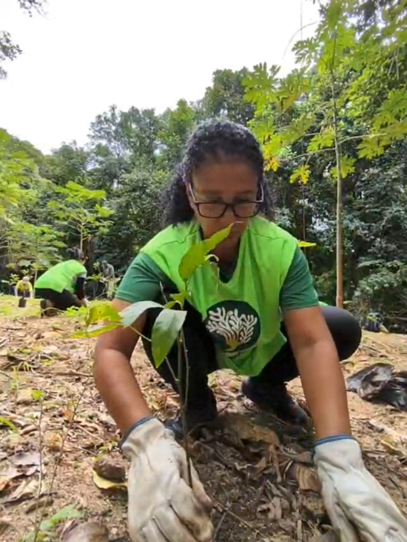 02- 15.2a. Screenshot_20251123-214902~2.png