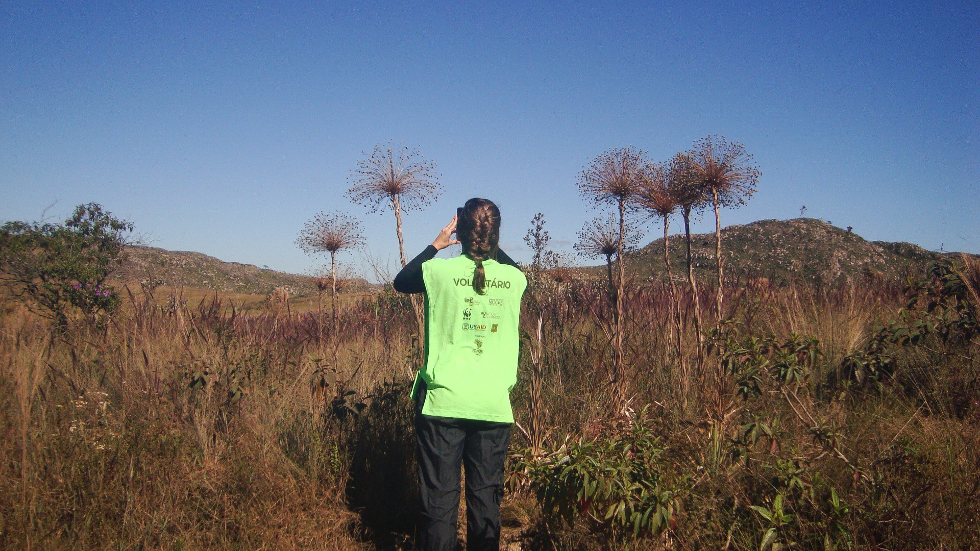 03- 7.1. Imagem 2- Chuveirinhos- Sophia El Khatib.JPG