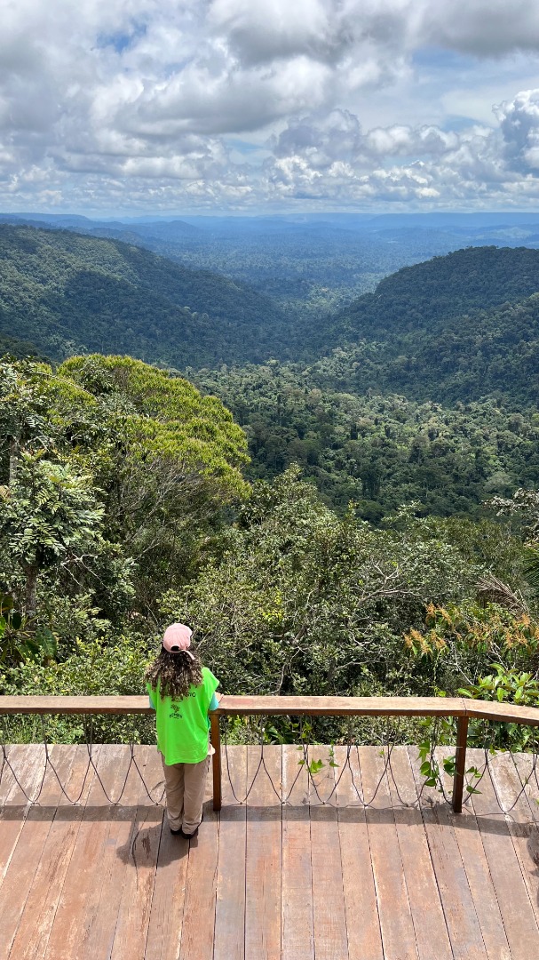 05- 4.3. IMG_2646.jpeg