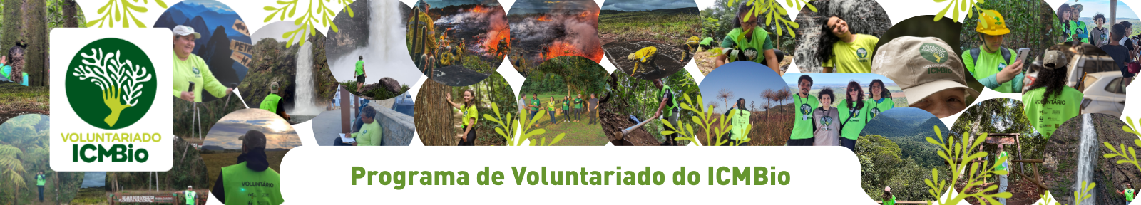 Programa de Voluntariado do ICMBio