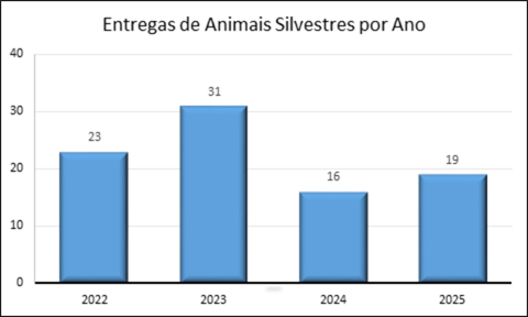 Gráfico 8 – Entregas de animais pelo ICMBio de 2022 a 2025 
