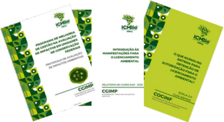 Figura 12: Algumas das Publicações Geradas em 2025 pela CGIMP Fonte: Acervo CGIMP, 2025