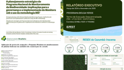 Figura 16 – De cima pra baixo, esq-dir.: 1 – capa revista Bio Brasil – Fluxo Contínuo – Programa Monitora; 2 - Artigo sobre o planejamento estratégico do Monitora – Revista CGU; 3 - Artigo do Monitora na revista BioBrasil; 4 - Painel de dados gerenciais do Programa Monitora; 5 - Capa do Relatório Executivo do Bolsa Verde; 6 - Painel do Componente Florestal