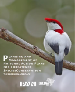 Figura 2: Capas das versões em português e em inglês do Sumário Executivo Planejamento e Gestão de Planos de Ação Nacionais para a Conservação de Espécies Ameaçadas de Extinção: a Estratégia Brasileira. 