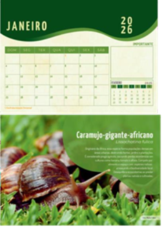 Amostra do Calendário de Espécies Exóticas Invasoras 2026