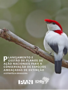 Capa em Português do Sumário Executivo Planejamento e Gestão de Planos de Ação Nacionais para a Conservação de Espécies Ameaçadas de Extinção: a Estratégia Brasileira.