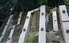 Contenções no Corcovado - Parque Nacional da Tijuca / RJ