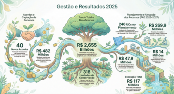 Gestão e Resultados 2025.